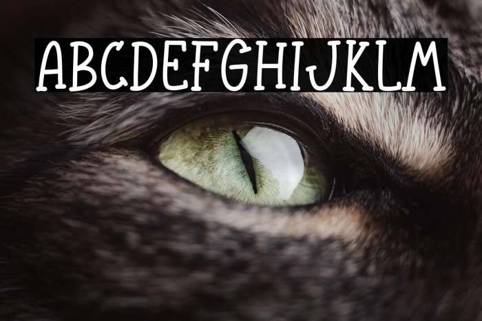 Welcome Autumn Example 1