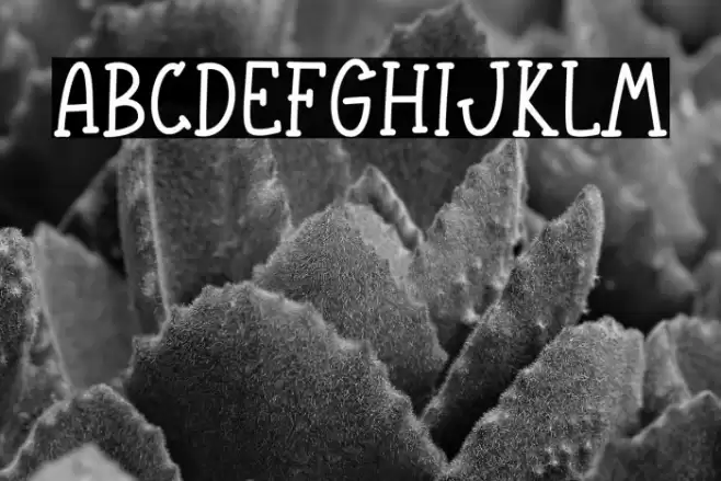 Welcome Autumn Font examples