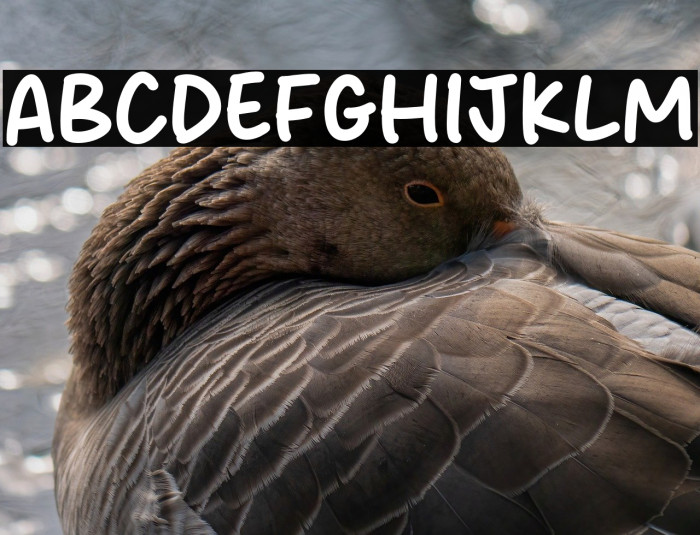 Welcome Darling Example 1