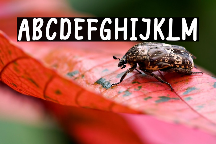 Welcome December Example 2