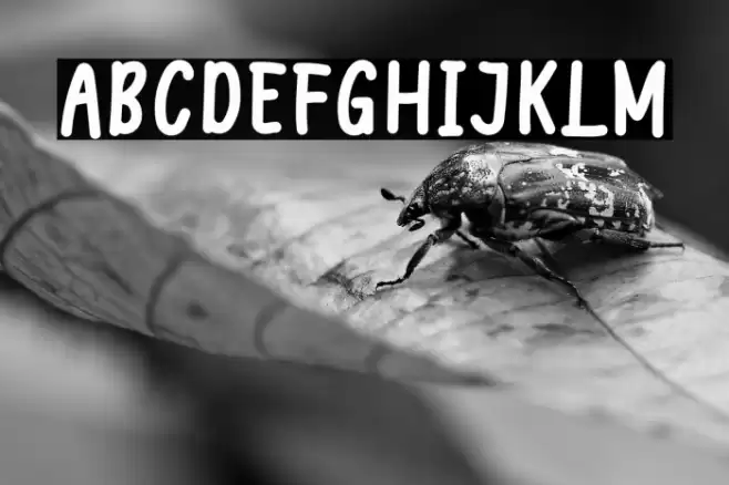 Welcome December خط examples