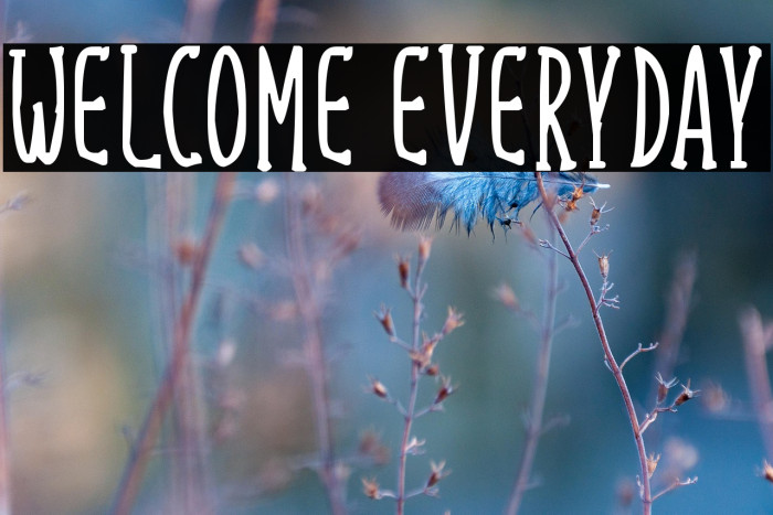 Welcome Everyday Example 1