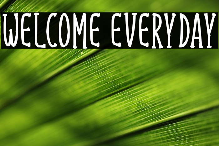 Welcome Everyday Example 2