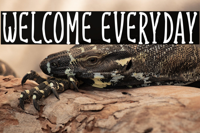 Welcome Everyday Example 3