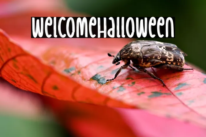 Welcome  Halloween Example 2