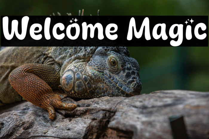 Welcome Magic Example 2
