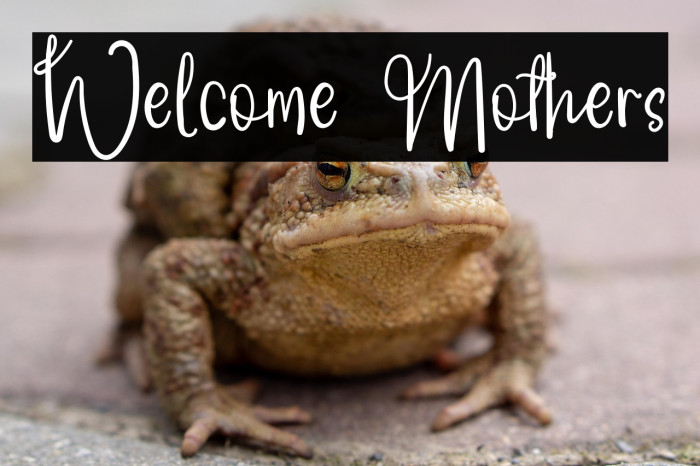 Welcome Mothers Example 1