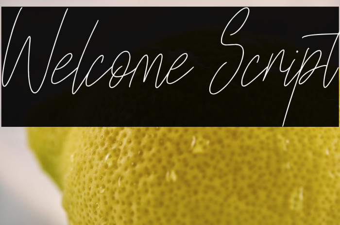 Welcome Script Example 2