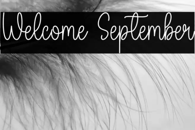 Welcome September フォント examples
