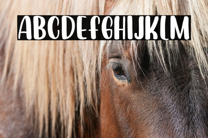 Welcome Spring Example 3