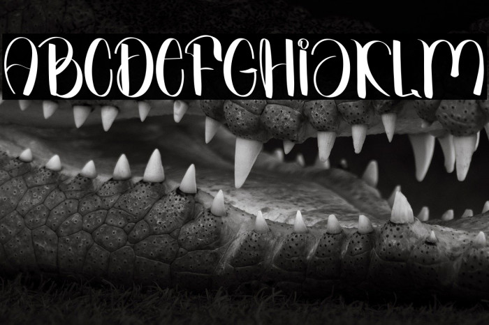 Welcome To Winter Example 1