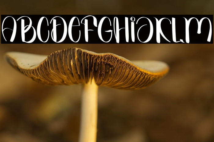 Welcome To Winter Example 3