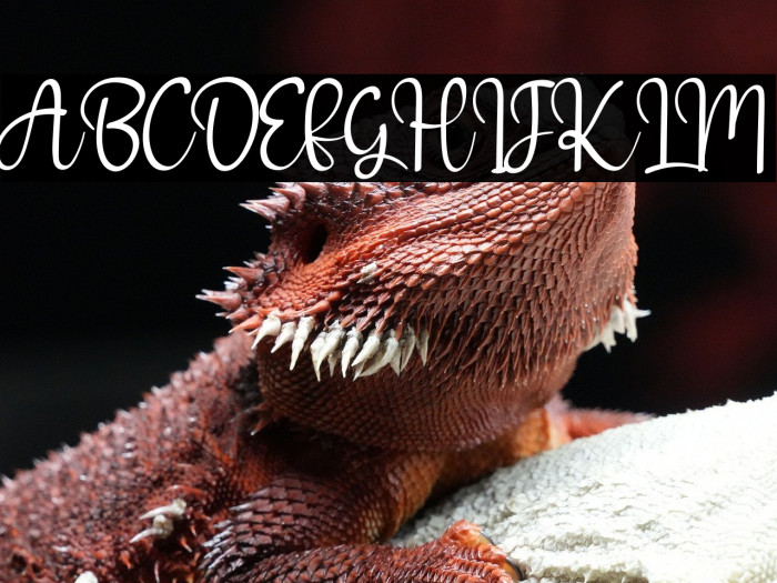 Welcome Valentine Example 3