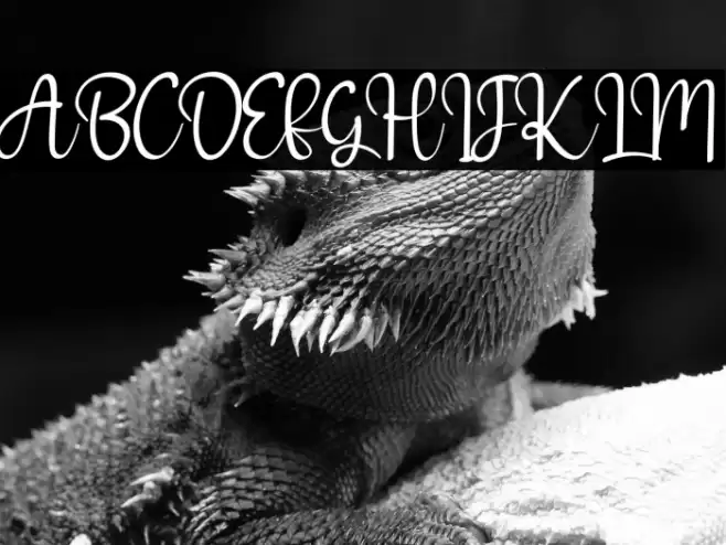 Welcome Valentine Font examples