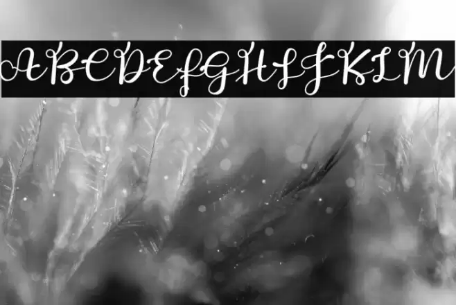 Welcome Vintables Font examples