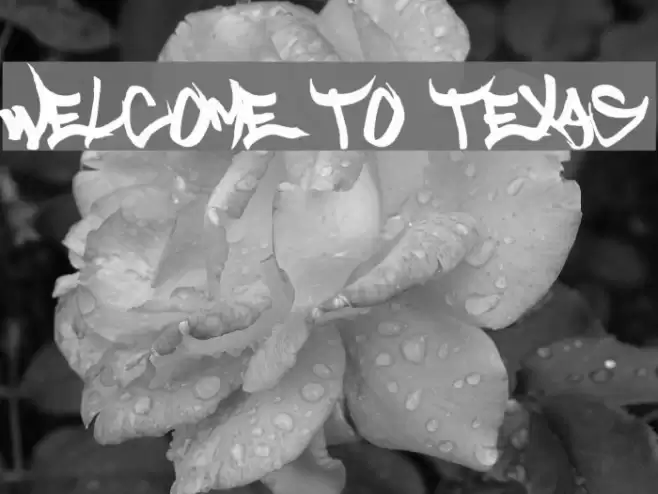 Welcome to Texas Font examples