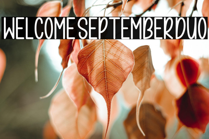WelcomeSeptemberDuo Example 2
