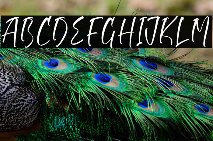 Welcoming Monthaile Example 3