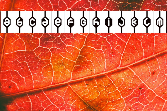 WelfareBrat-Regular Example 3