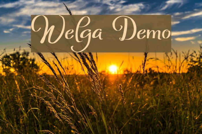 Welga Demo Font examples