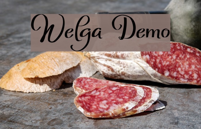 Welga Demo Font examples