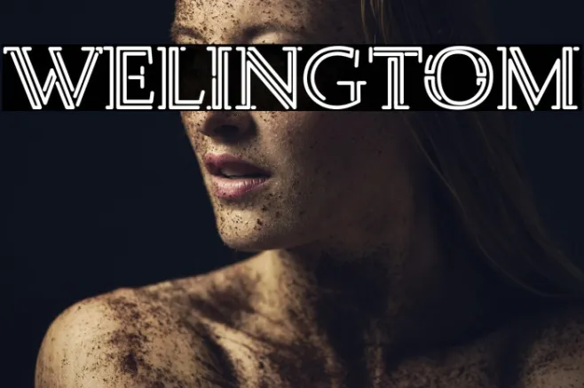 Welingtom Example 2