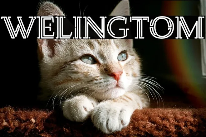 Welingtom Example 3