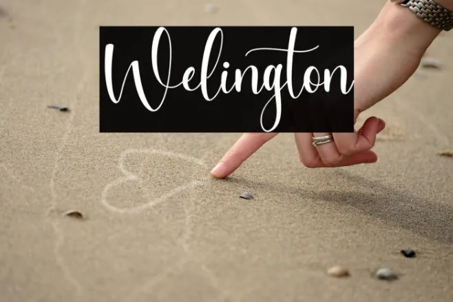 Welington Example 1
