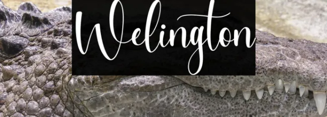 Welington Example 2