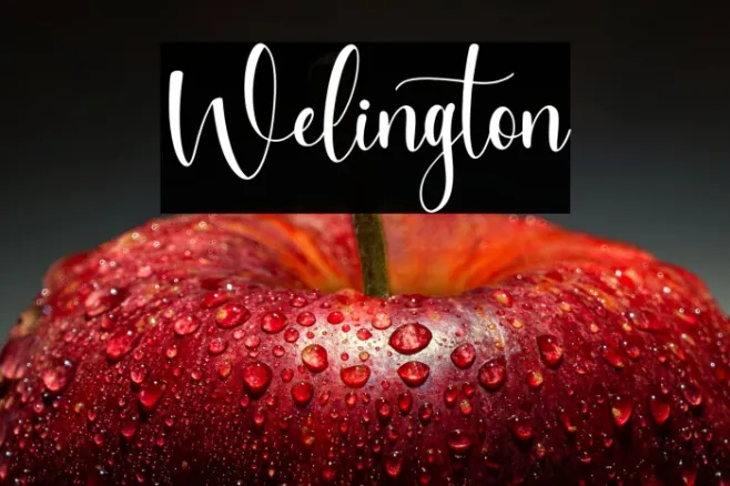 Welington Example 3