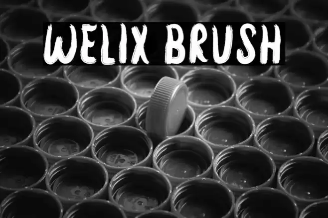 Welix Brush Font examples