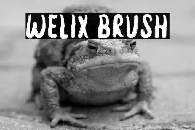 Welix Brush Font examples