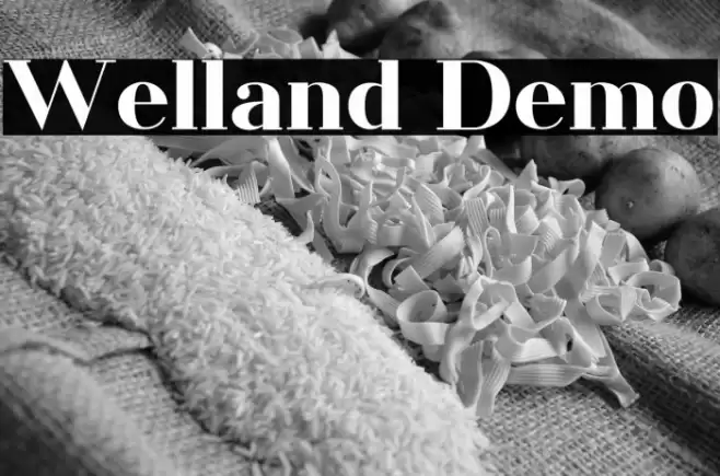 Welland Demo Font examples