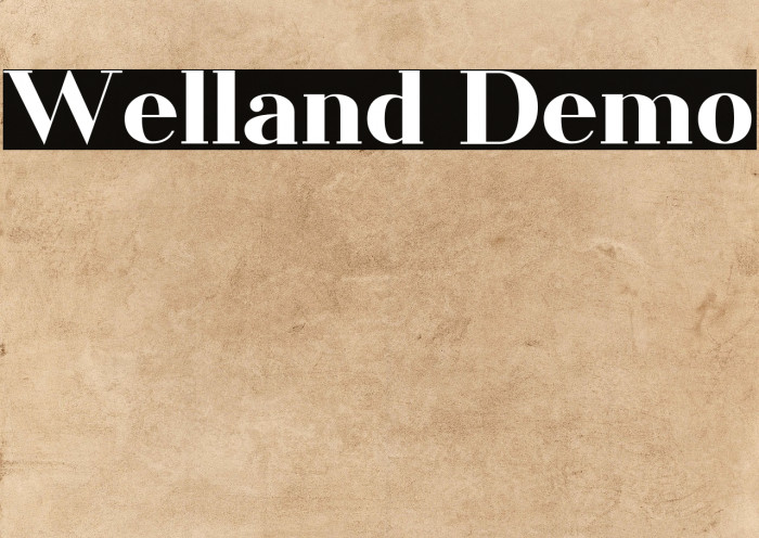 Welland Demo Example 3