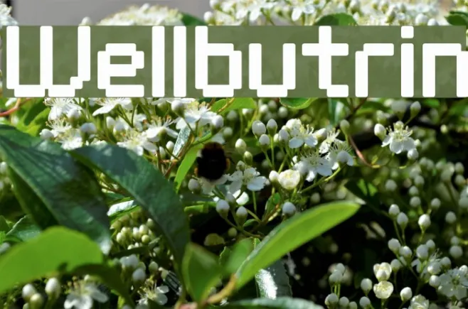 Wellbutrin Example 3