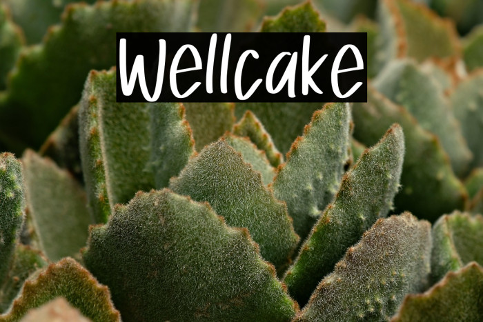 Wellcake Example 2