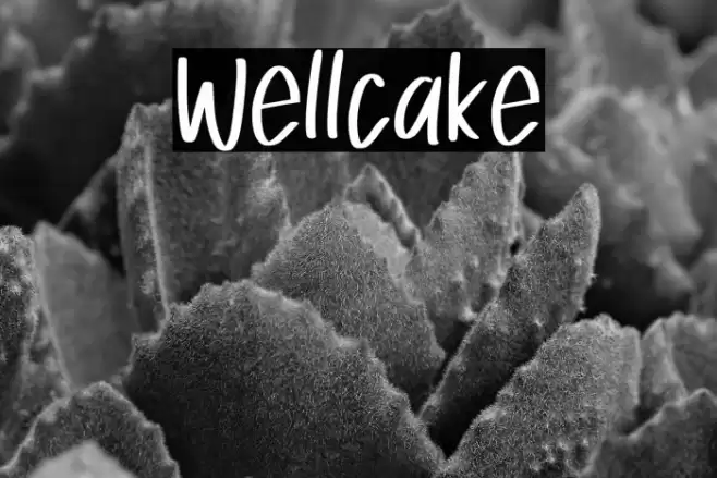 Wellcake Font examples