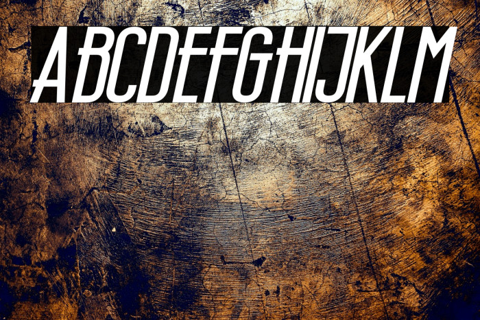 Wellcome Paradise Bold Italic Example 1