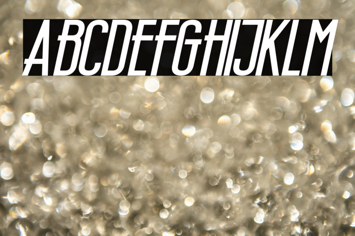 Wellcome Paradise Bold Italic Example 2