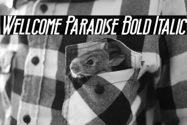 Wellcome Paradise Bold Italic Font examples
