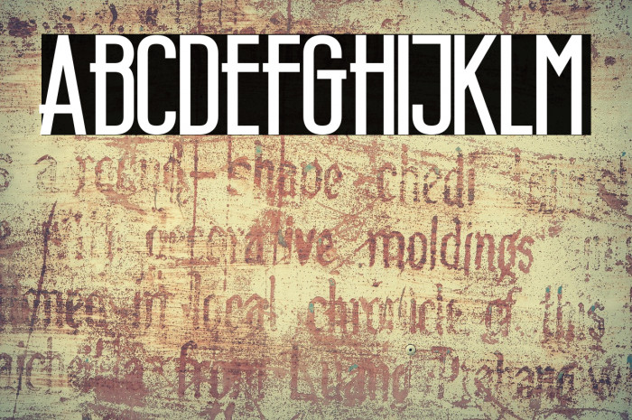 Wellcome Paradise Bold Example 1