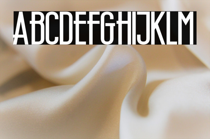 Wellcome Paradise Bold Example 1