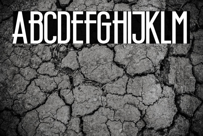 Wellcome Paradise Bold Example 3