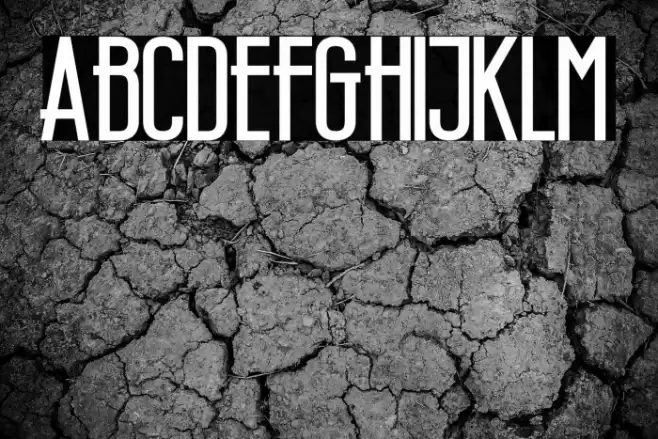 Wellcome Paradise Bold Font examples