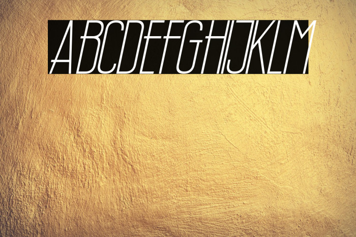 Wellcome Paradise Italic Example 2