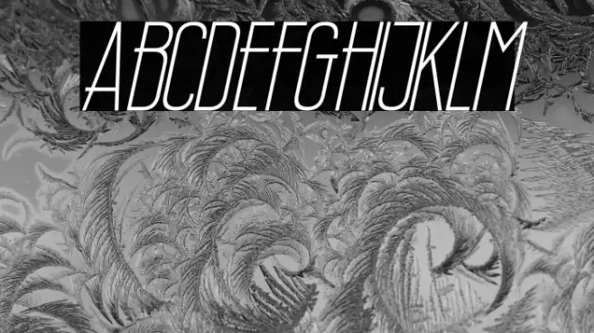 Wellcome Paradise Italic Font examples