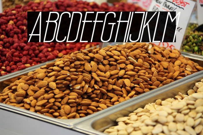 Wellcome Paradise Italic Example 1