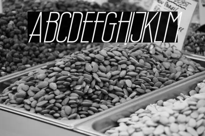 Wellcome Paradise Italic Font examples