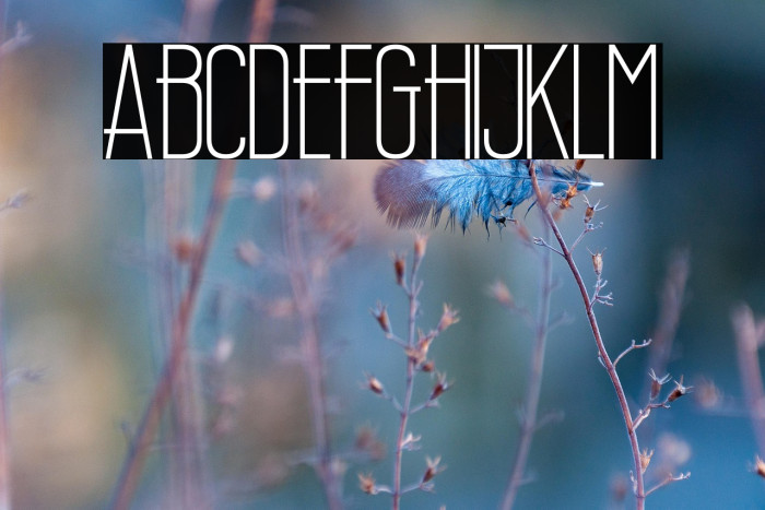 Wellcome Paradise Example 1