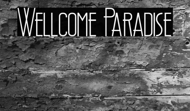 Wellcome Paradise Font examples